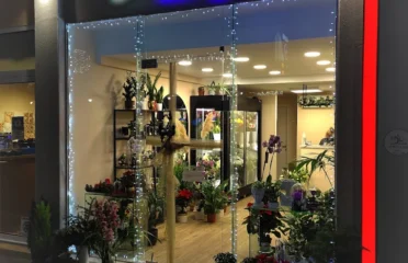 BLUE ROSE | Event Planner